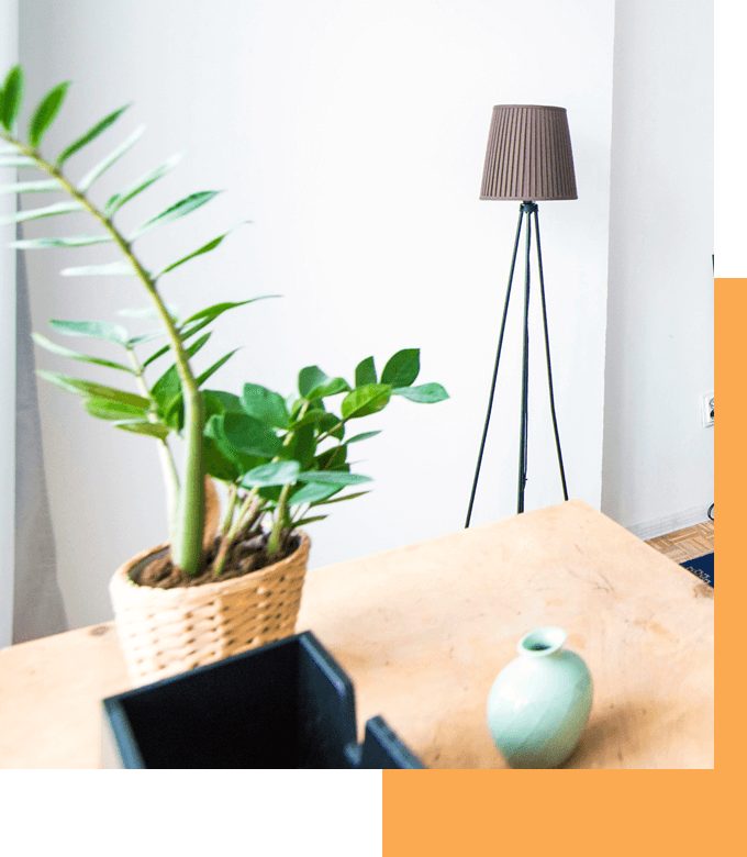 Interior Trends